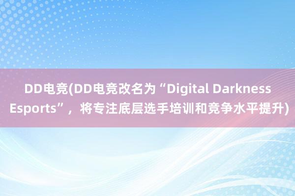 DD电竞(DD电竞改名为“Digital Darkness Esports”，将专注底层选手培训和竞争水平提升)