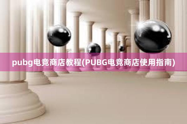 pubg电竞商店教程(PUBG电竞商店使用指南)