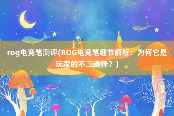 rog电竞笔测评(ROG电竞笔细节解析：为何它是玩家的不二选择？)