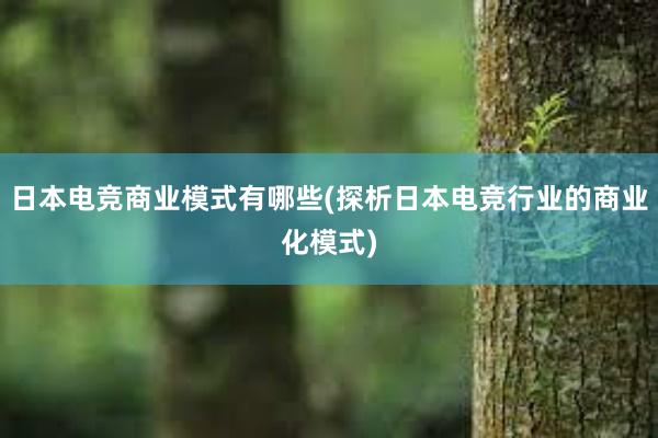 日本电竞商业模式有哪些(探析日本电竞行业的商业化模式)