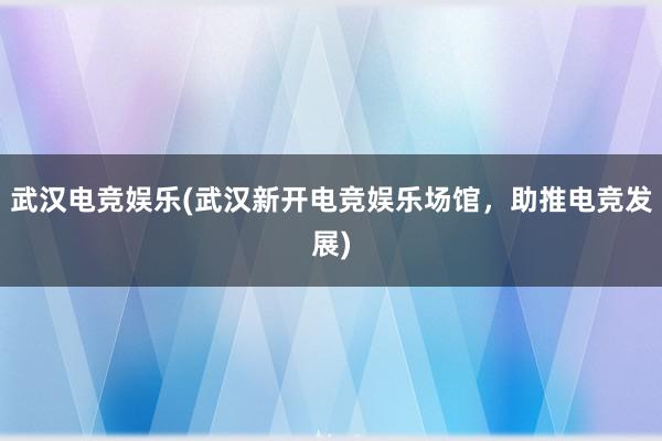 武汉电竞娱乐(武汉新开电竞娱乐场馆，助推电竞发展)