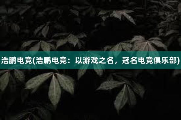 浩鹏电竞(浩鹏电竞：以游戏之名，冠名电竞俱乐部)