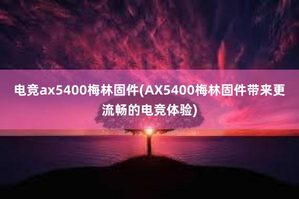 电竞ax5400梅林固件(AX5400梅林固件带来更流畅的电竞体验)