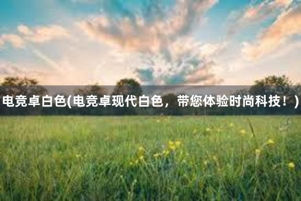 电竞卓白色(电竞卓现代白色，带您体验时尚科技！)