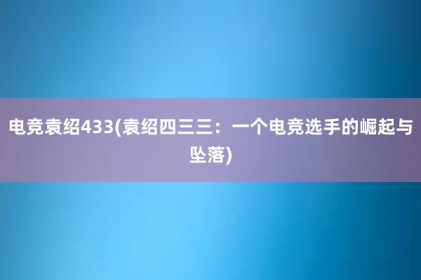 电竞袁绍433(袁绍四三三：一个电竞选手的崛起与坠落)