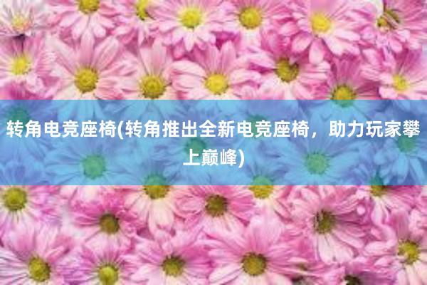 转角电竞座椅(转角推出全新电竞座椅，助力玩家攀上巅峰)