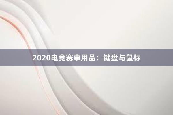 2020电竞赛事用品：键盘与鼠标