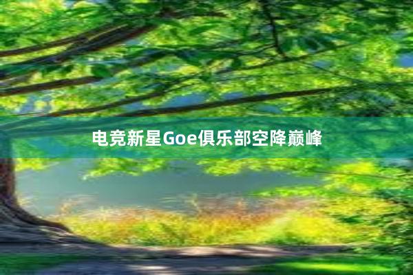 电竞新星Goe俱乐部空降巅峰