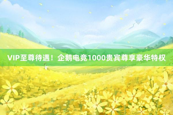 VIP至尊待遇！企鹅电竞1000贵宾尊享豪华特权