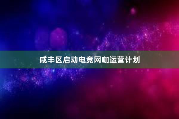 咸丰区启动电竞网咖运营计划