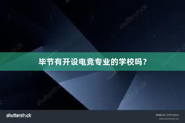 毕节有开设电竞专业的学校吗？