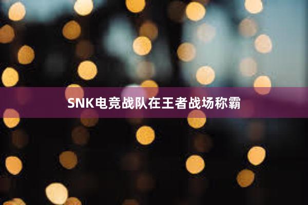 SNK电竞战队在王者战场称霸