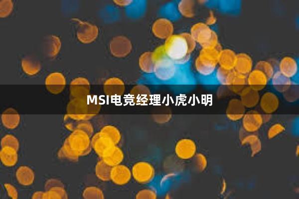 MSI电竞经理小虎小明